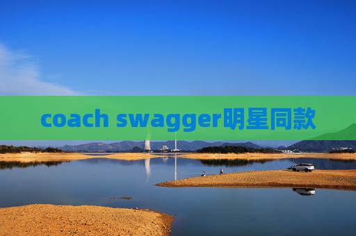 coach swagger明星同款